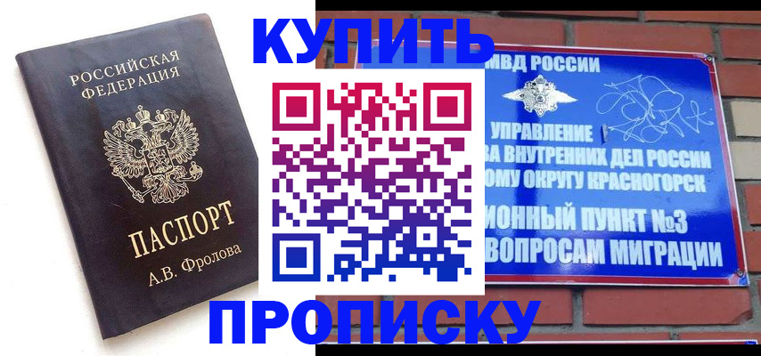 прописка поиск в Калининградской области